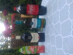 IMG_20230729_185516280.jpg
