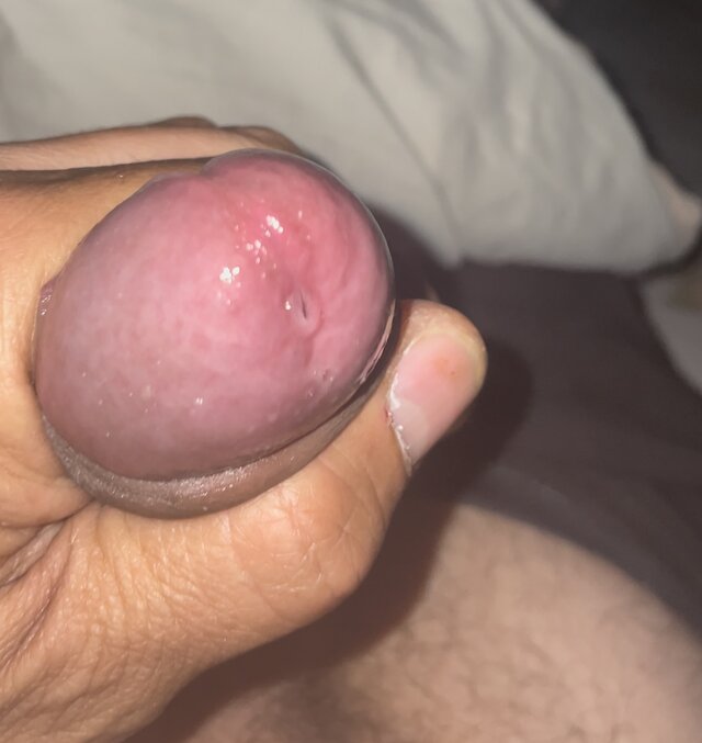 Michal100778