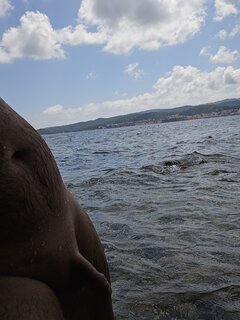 20230804_142854.jpg