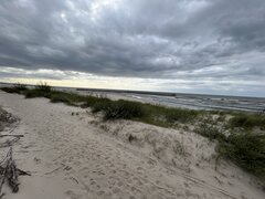 IMG_2022.jpeg