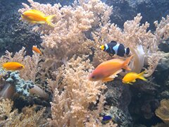 20230810_092515.jpg