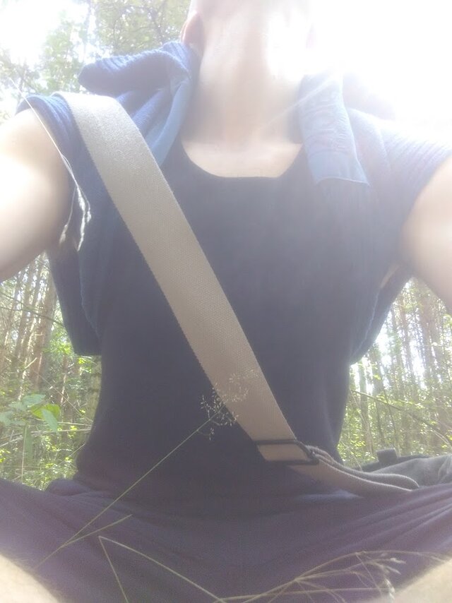 Dab_Na_Polanie