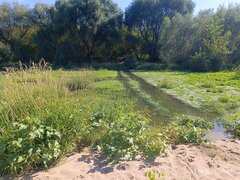 IMG_20230812_154754.jpg