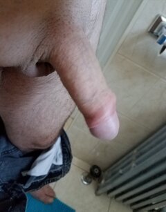 sgs_193103.jpg