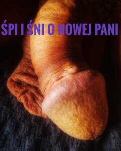 Zapomniany i samotny.jpeg