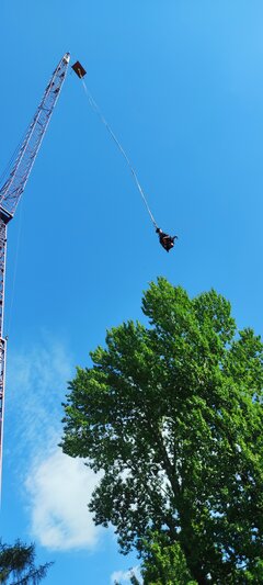 IMG_20230813_170655.jpg