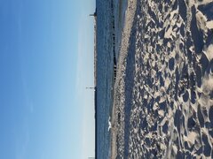 20230813_182238.jpg