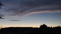 20230813_041842.jpg