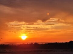 IMG_20230813_202242.jpg