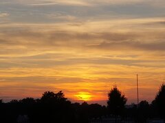 20230813_195429.jpg