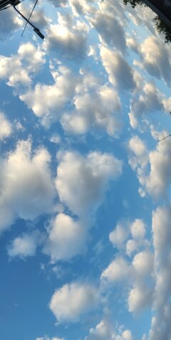 PANO_20230812_055701.jpg