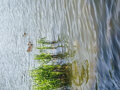 IMG_20230814_110936.jpg
