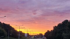 IMG_20230812_045732.jpg