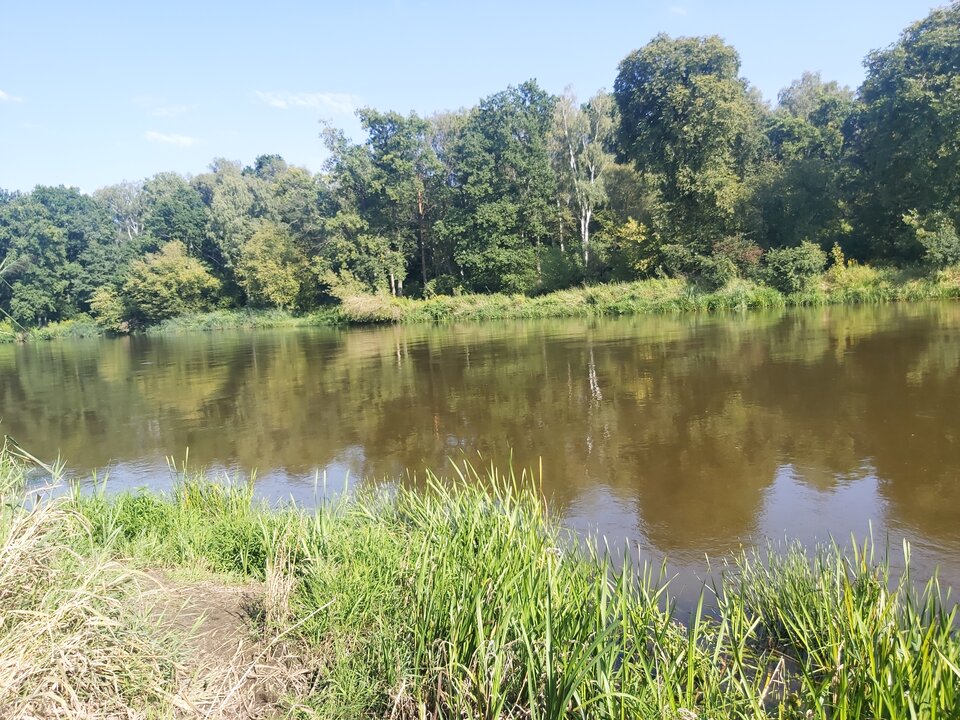 20230814_155220.jpg - Onirazem9876