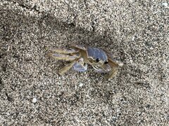 IMG_9933.jpeg