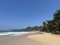 IMG_9894.jpeg