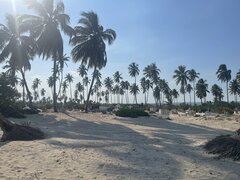 IMG_9897.jpeg
