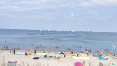 IMG_20230814_114500.jpg