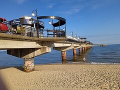 IMG_20230817_074449.jpg