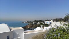 IMG_20220726_094355.jpg