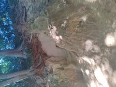 IMG_20230815_153201.jpg