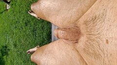20230819_155425.jpg
