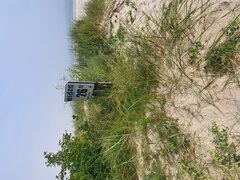 20230820_090325.jpg
