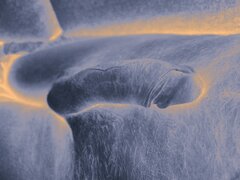 IMG_20230820_104002.jpg