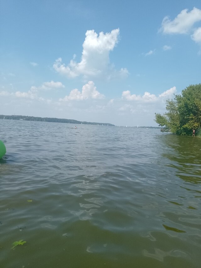 wawamybi