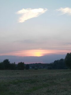 IMG_202308.jpg
