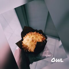 🍪.jpg