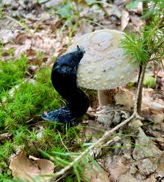 IMG_9108.jpeg