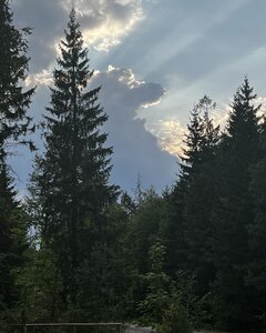 IMG_2227.jpeg