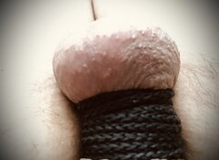 IMG_1635.jpeg