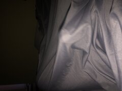IMG_2028.jpeg