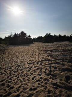 IMG_20230820_173505.jpg