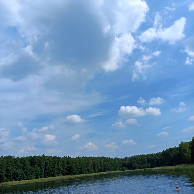 Mieto29