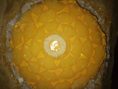 20230804_073226.jpg