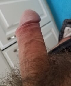 sgs_164110.jpg