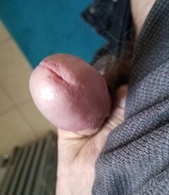 sgs_164149.jpg