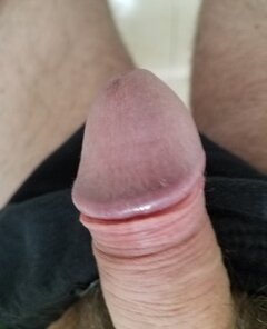 sgs_041643.jpg
