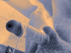 IMG_20230821_172046.jpg