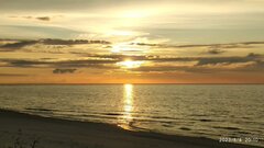 IMG_20230804_201004.jpg