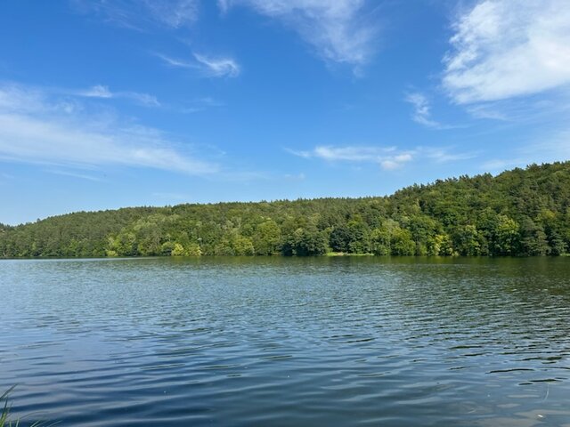 1EWELIKAR1