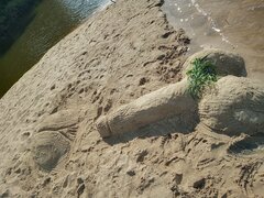 IMG_20230822_144425.jpg