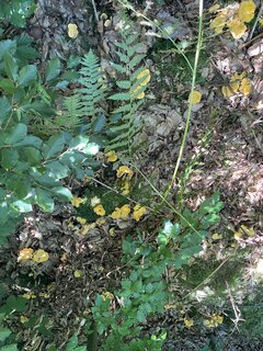 IMG_9164.jpeg