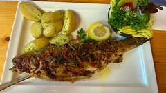 IMG_4209.jpeg