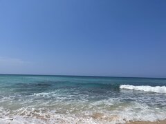 IMG_9879.jpeg