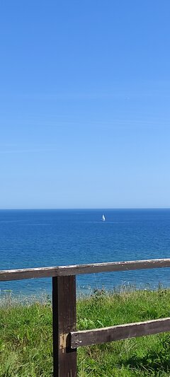 IMG_20230814_103700.jpg