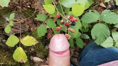IMG_20230730_155710.jpg